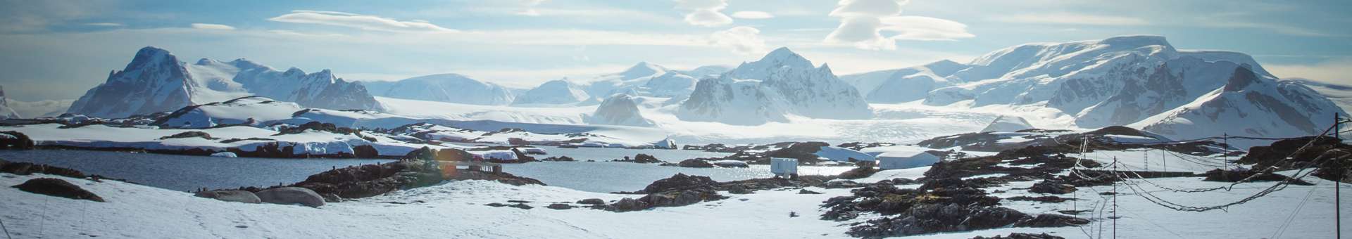 Búsqueda de información Whois de nombres de dominios  Antártica