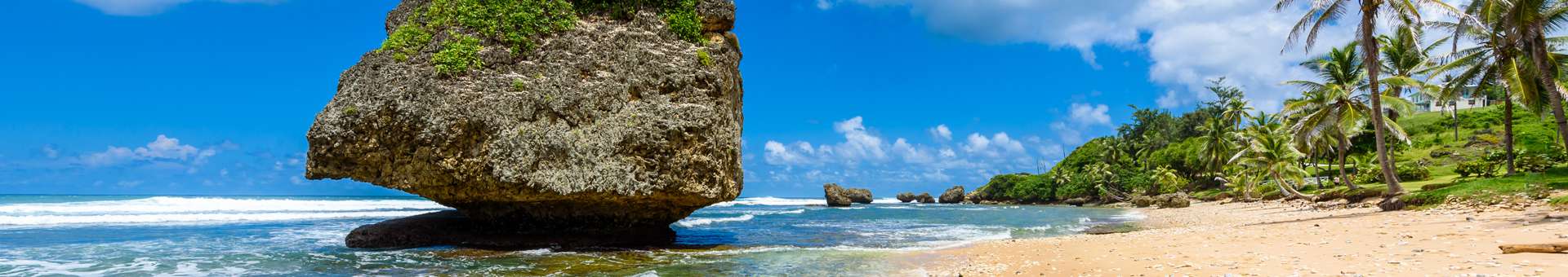 Search Whois information of domain names in Barbados