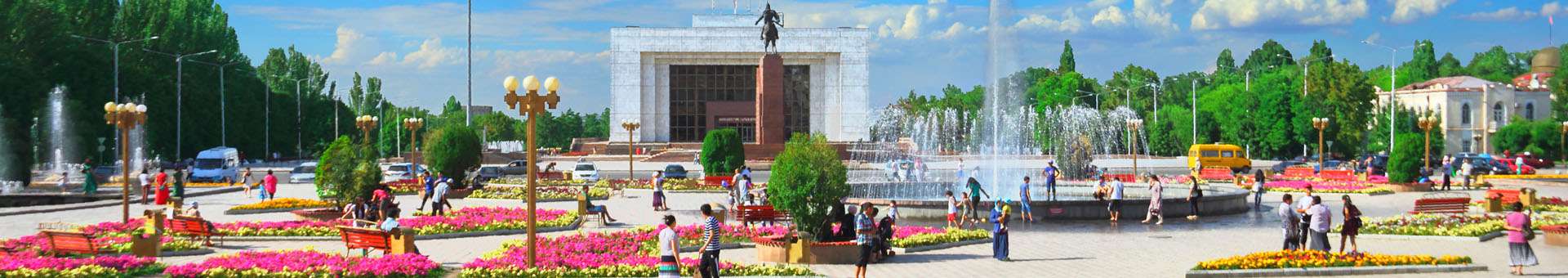 Rechercher des informations WHOIS sur les noms de domaine au Kirghizstan