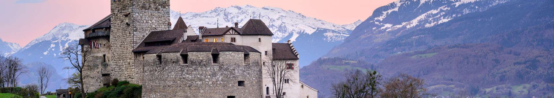 Pesquisar informações WHOIS sobre nomes de dominio em Liechtenstein