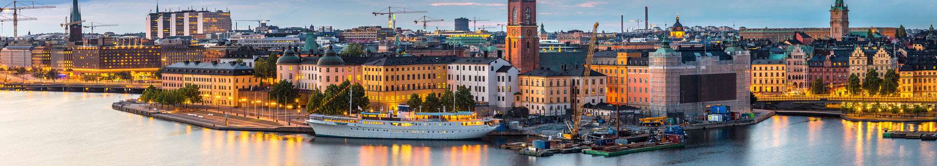 Rechercher des informations WHOIS sur les noms de domaine en Suède