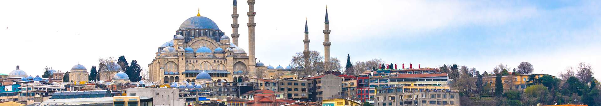 Búsqueda de información Whois de nombres de dominios en Turquía