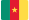 Search Whois information of domain names in Cameroon